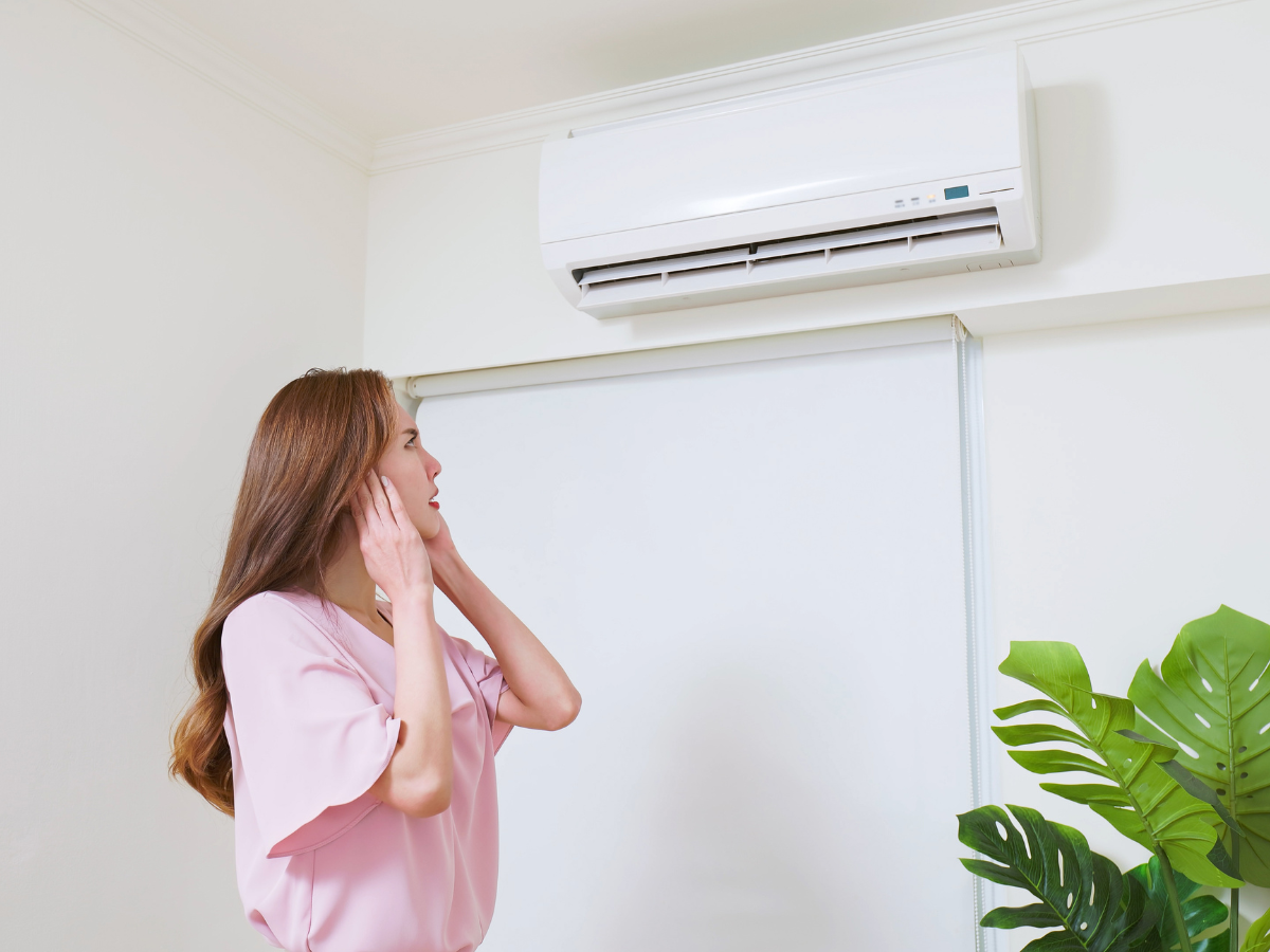 Squeaking Air Conditioner How To Fix It Clover Contracting